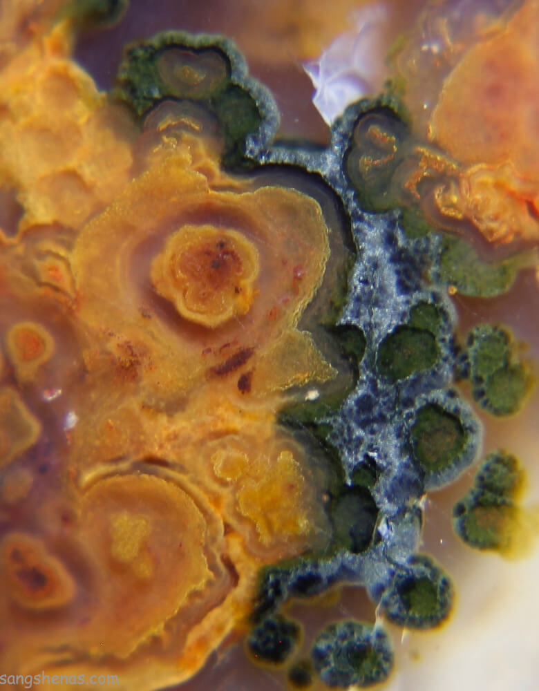 عقیق شجر پاییزی در میکروسکوپ