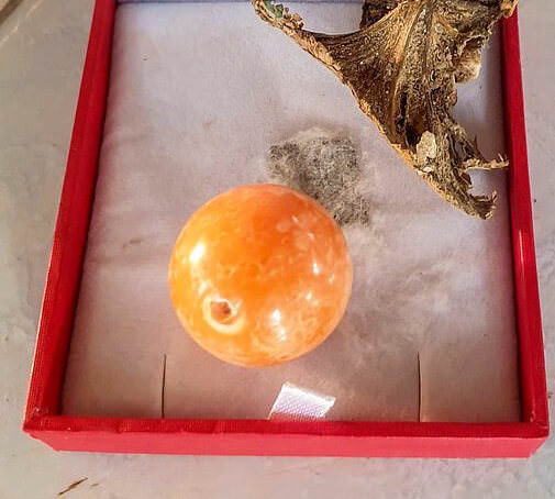 ماهیگیر خوش شانس تایلندی مروارید گرانبهای نارنجی ملو