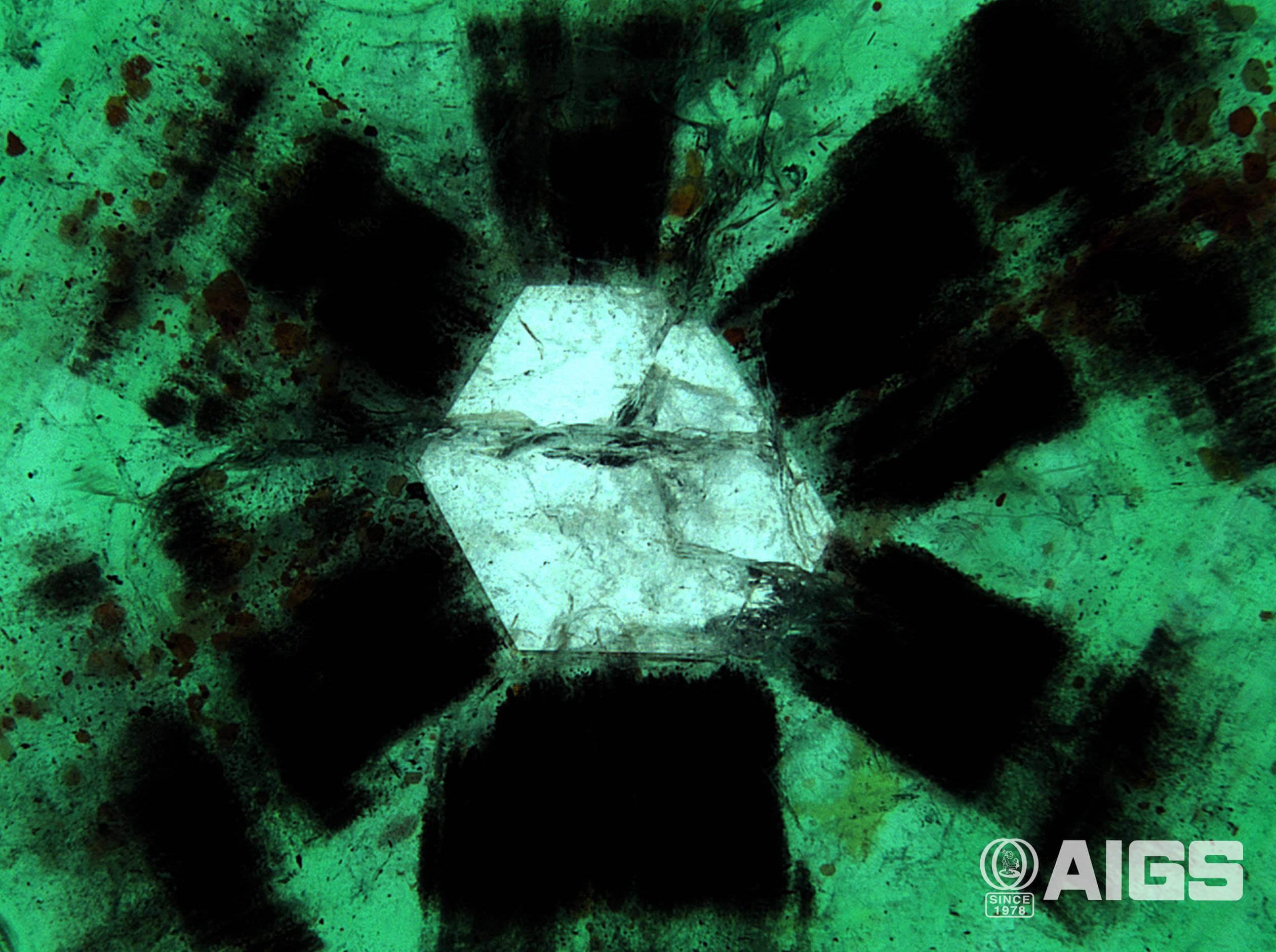 زمرد تراپیچه نادر حاوی پره های سیاه و یک هسته واضح از زمرد سبز عمیق از سوات پاکستان است