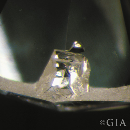 اینکلوژن دندانه ای intended natural در الماس