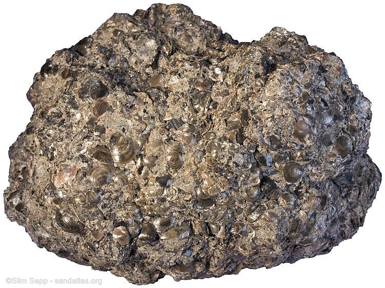 سنگ فسفوریت (Phosphorite)
