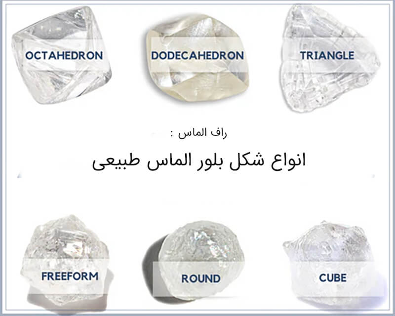 انواع شکل راف الماس در طبیعت
