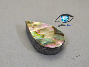 قیمت خرید صدف آبالون طبیعی