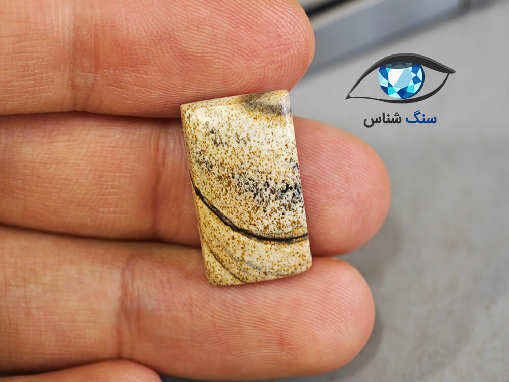 قیمت خرید سنگ جاسپر منظره اصل