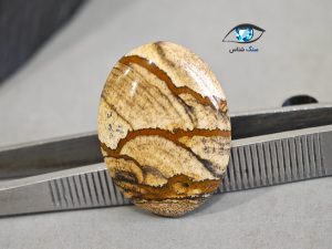 قیمت خرید سنگ جاسپر منظره اصل