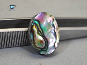قیمت خرید صدف آبالون اصل