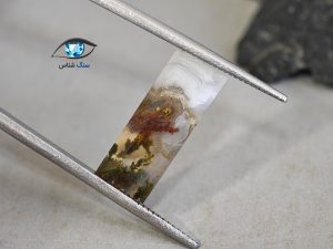 قیمت خرید سنگ عقیق شجر پاییزی