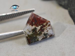 قیمت خرید سنگ عقیق شجر پاییزی