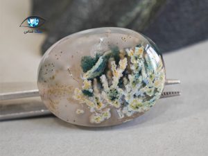 قیمت خرید سنگ عقیق شجر بهاری اصل معدنی