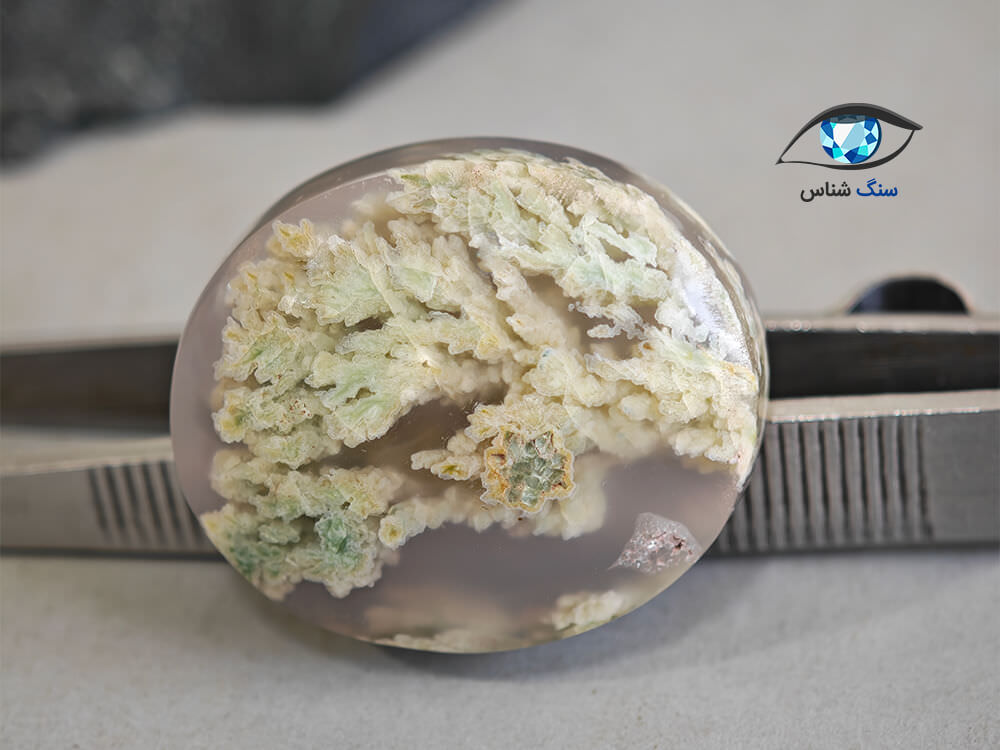 قیمت خرید سنگ عقیق شجر بهاری اصل معدنی