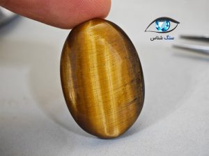قیمت خرید سنگ چشم ببر اصل طلایی