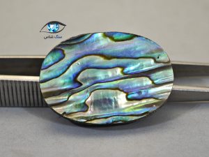 قیمت خرید صدف آبالون اصل