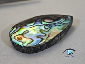 قیمت خرید صدف آبالون اصل