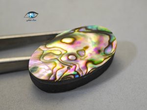 قیمت خرید صدف آبالون اصل