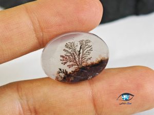 قیمت خرید سنگ عقیق شجر سیاه منظره درختی قائن