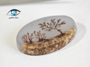 قیمت خرید سنگ عقیق شجر سیاه منظره درختی قائن
