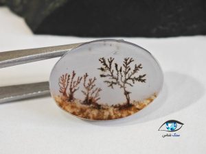 قیمت خرید سنگ عقیق شجر سیاه منظره درختی قائن