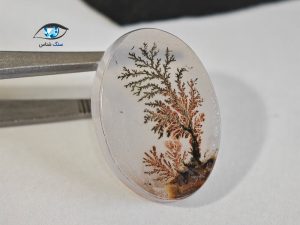 قیمت خرید سنگ عقیق شجر سیاه منظره درختی قائن