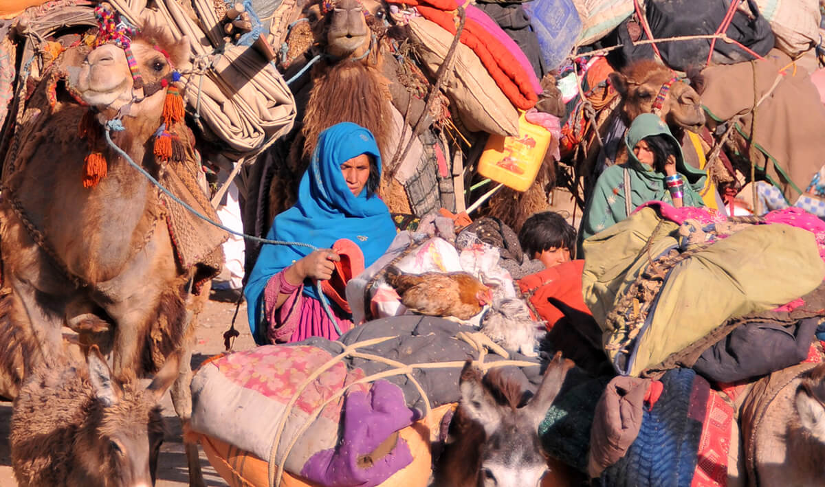 کوچ نشینان زمرد پنجشیر